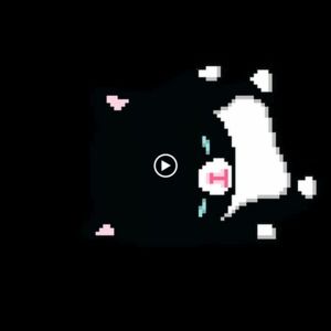 Meet your Posher, Jackelyn